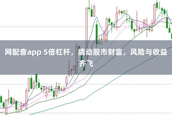 网配查app 5倍杠杆，撬动股市财富，风险与收益齐飞