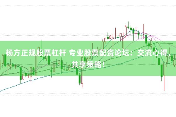 杨方正规股票杠杆 专业股票配资论坛：交流心得，共享策略！