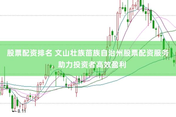 股票配资排名 文山壮族苗族自治州股票配资服务，助力投资者高效盈利