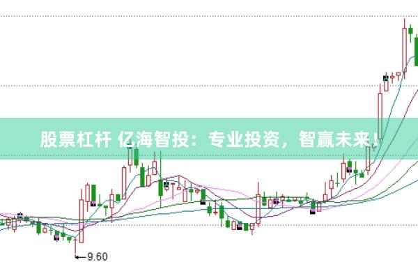 股票杠杆 亿海智投：专业投资，智赢未来！