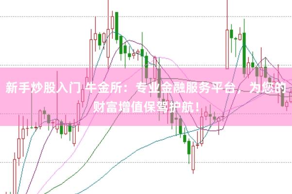 新手炒股入门 牛金所：专业金融服务平台，为您的财富增值保驾护航！