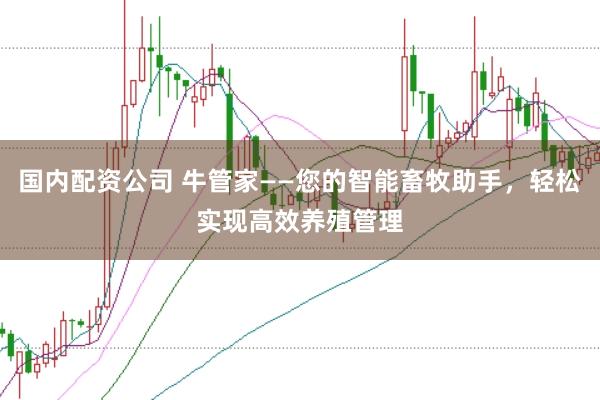国内配资公司 牛管家——您的智能畜牧助手，轻松实现高效养殖管理
