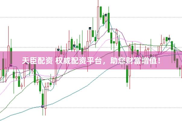 天臣配资 权威配资平台，助您财富增值！