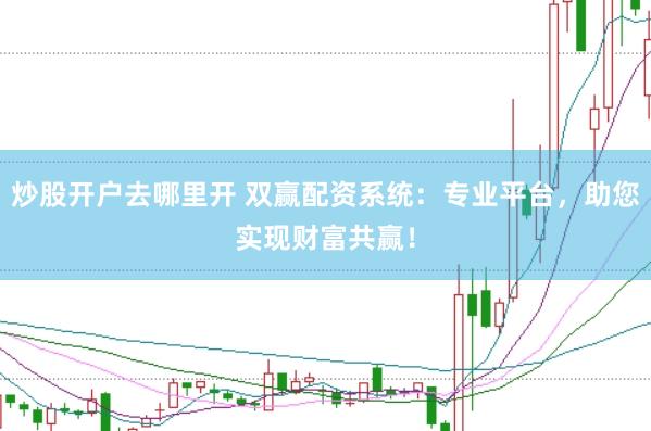 炒股开户去哪里开 双赢配资系统：专业平台，助您实现财富共赢！