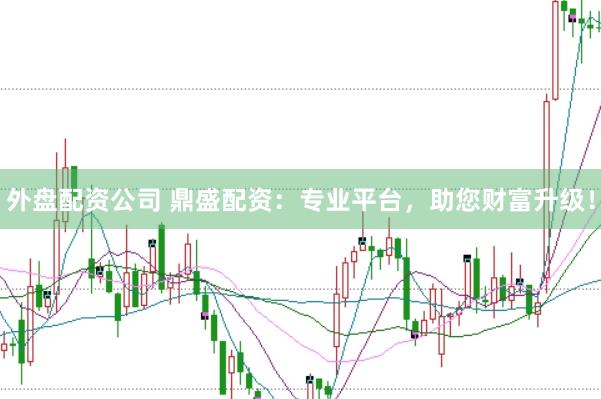 外盘配资公司 鼎盛配资：专业平台，助您财富升级！