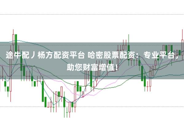 途牛配丿杨方配资平台 哈密股票配资：专业平台，助您财富增值！