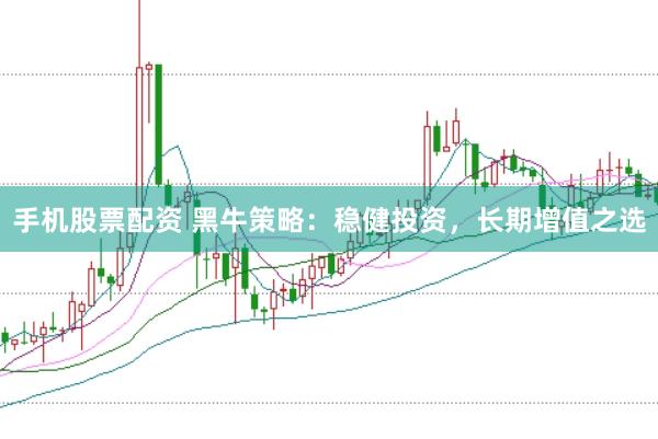 手机股票配资 黑牛策略：稳健投资，长期增值之选