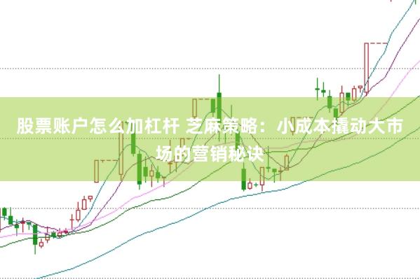 股票账户怎么加杠杆 芝麻策略：小成本撬动大市场的营销秘诀