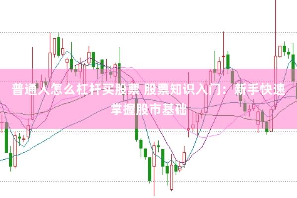 普通人怎么杠杆买股票 股票知识入门：新手快速掌握股市基础