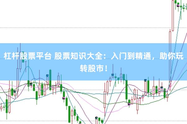 杠杆股票平台 股票知识大全：入门到精通，助你玩转股市！