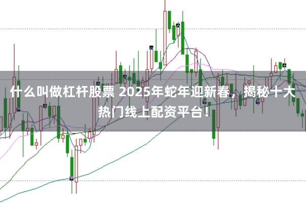 什么叫做杠杆股票 2025年蛇年迎新春，揭秘十大热门线上配资平台！