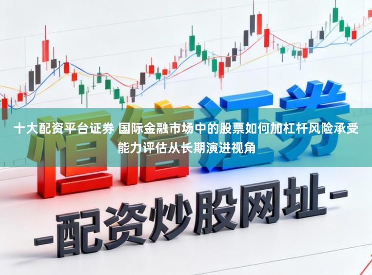 十大配资平台证券 国际金融市场中的股票如何加杠杆风险承受能力评估从长期演进视角