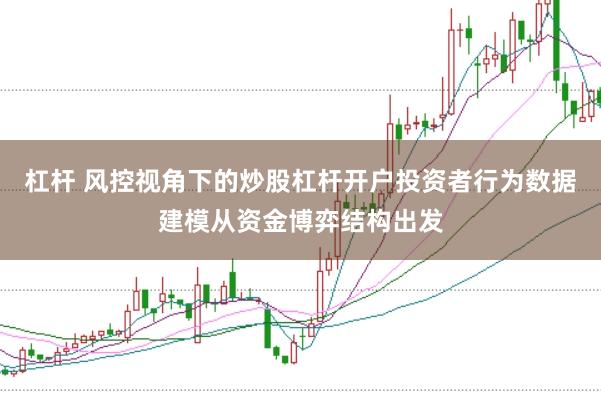 杠杆 风控视角下的炒股杠杆开户投资者行为数据建模从资金博弈结构出发