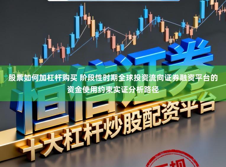 股票如何加杠杆购买 阶段性时期全球投资流向证券融资平台的资金使用约束实证分析路径